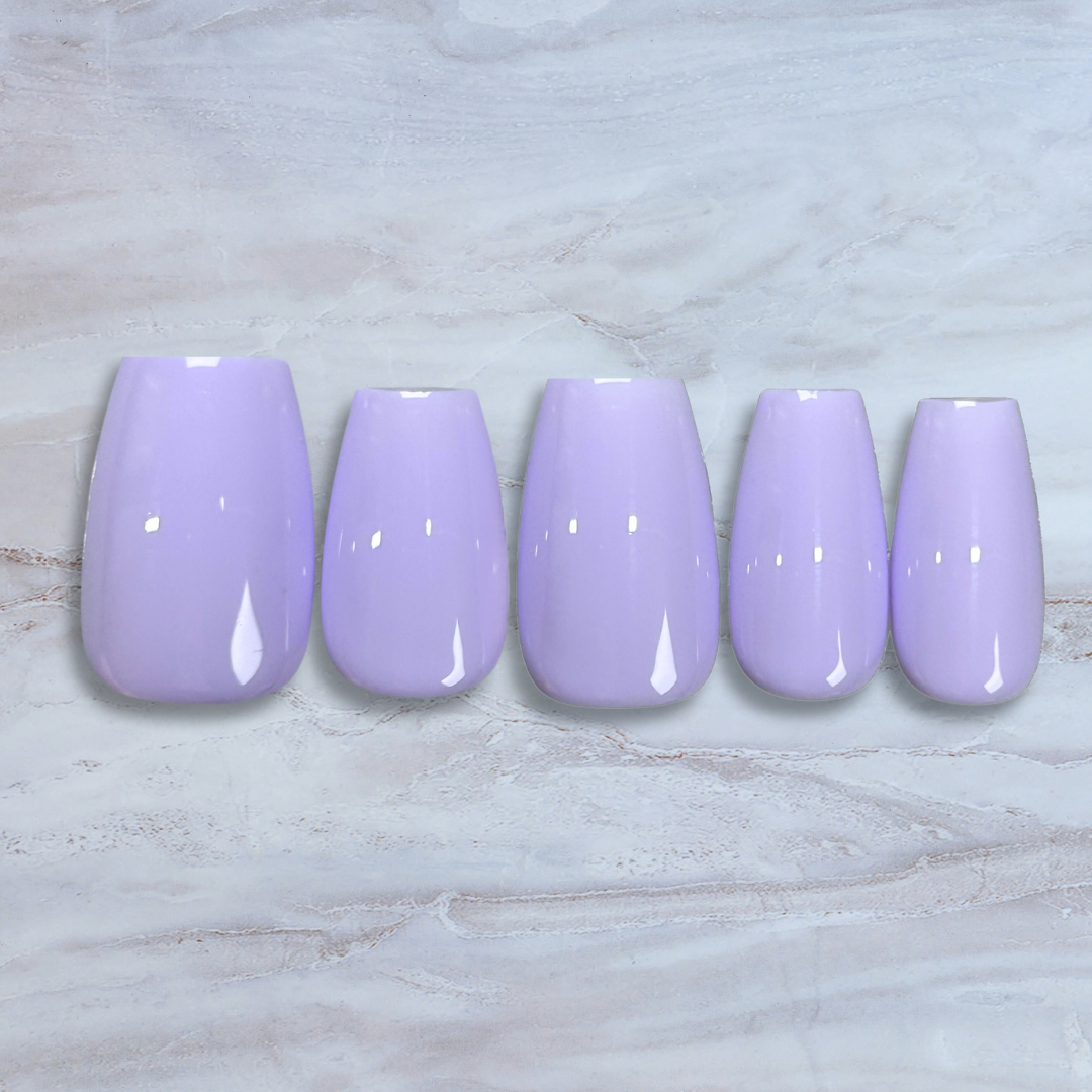 Lilac Blooms