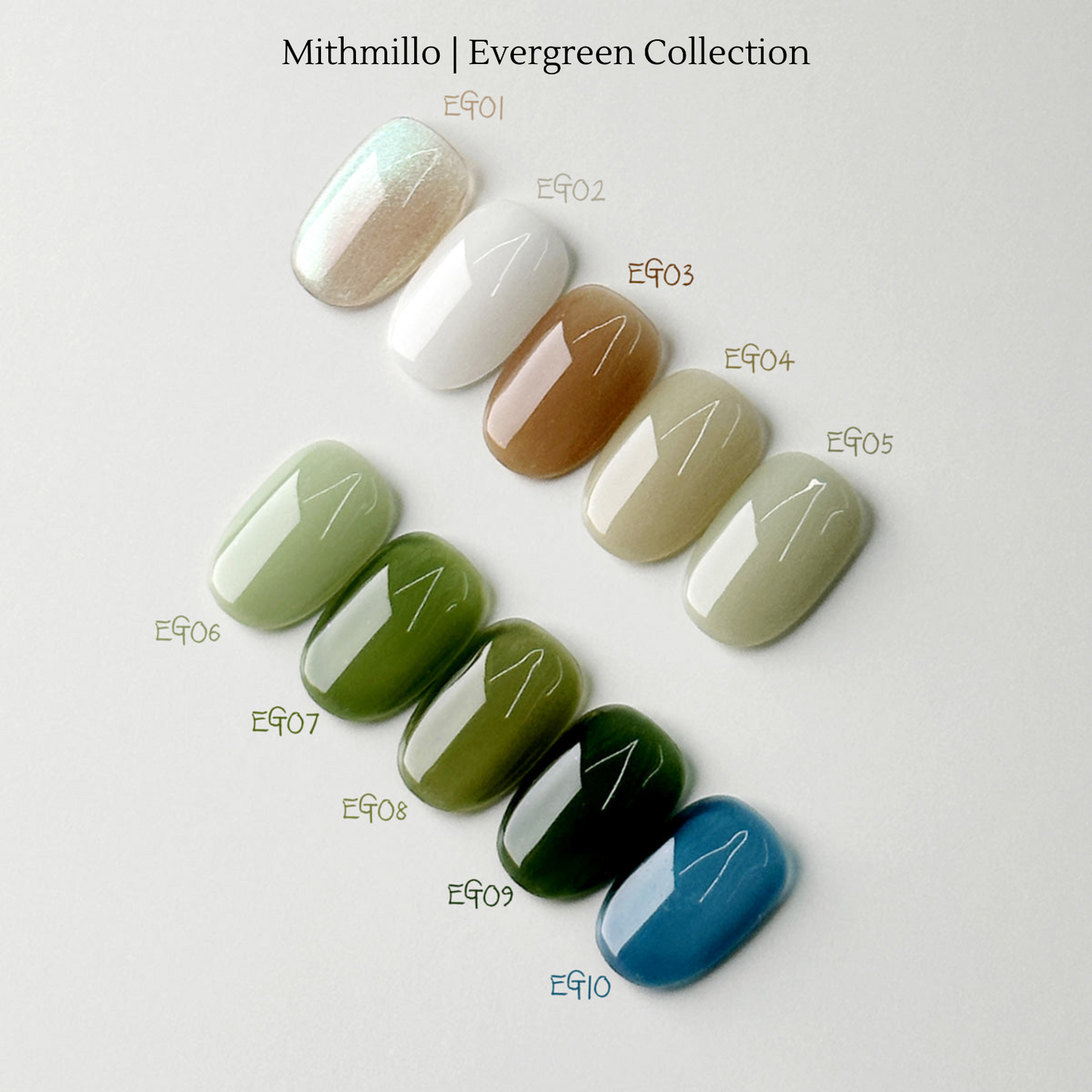 Mithmillo Evergreen Collection