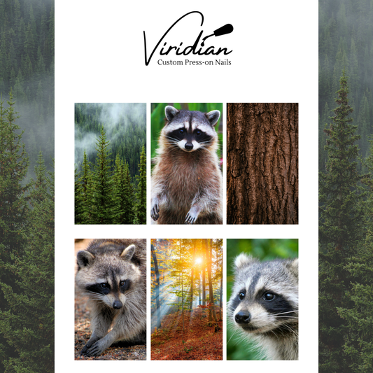 Forest Bandits - Waterslide Decals