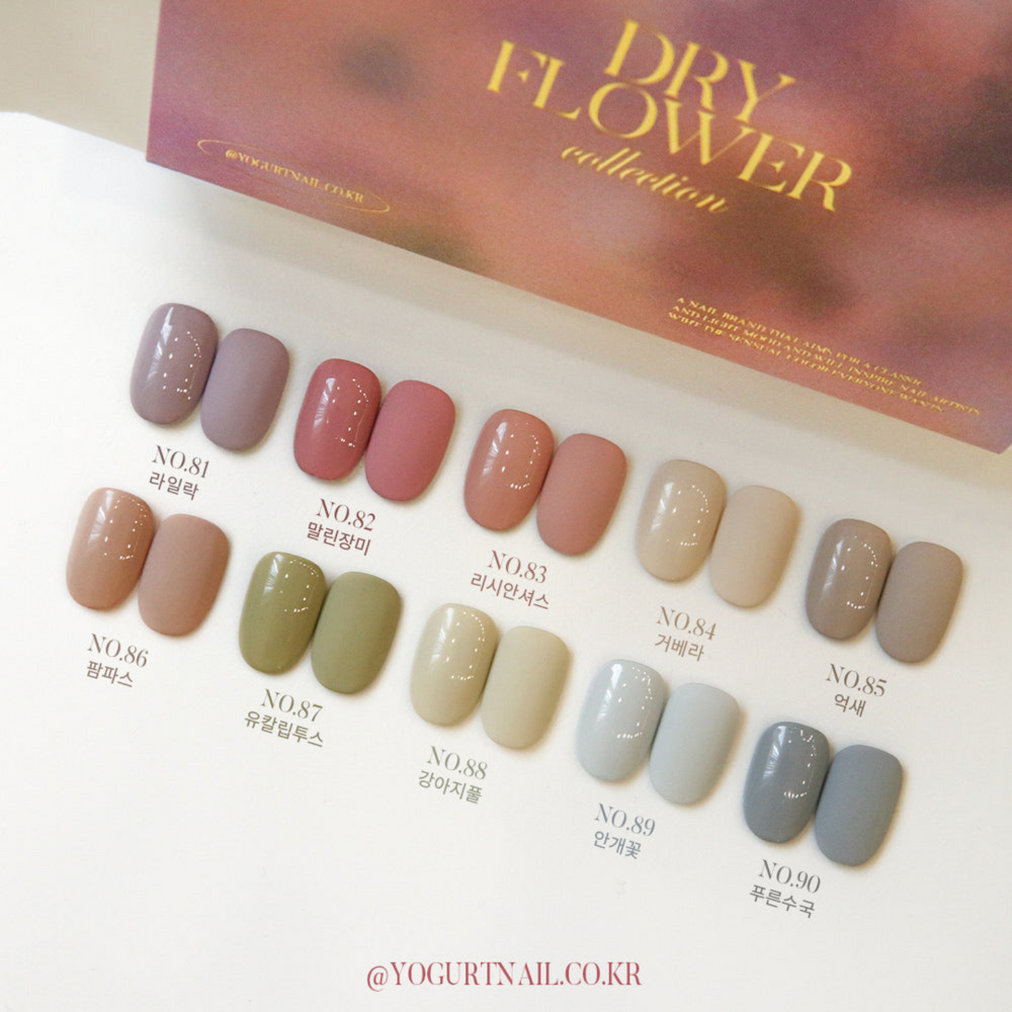 Yogurt Nail Kr. Dry Flower Collection