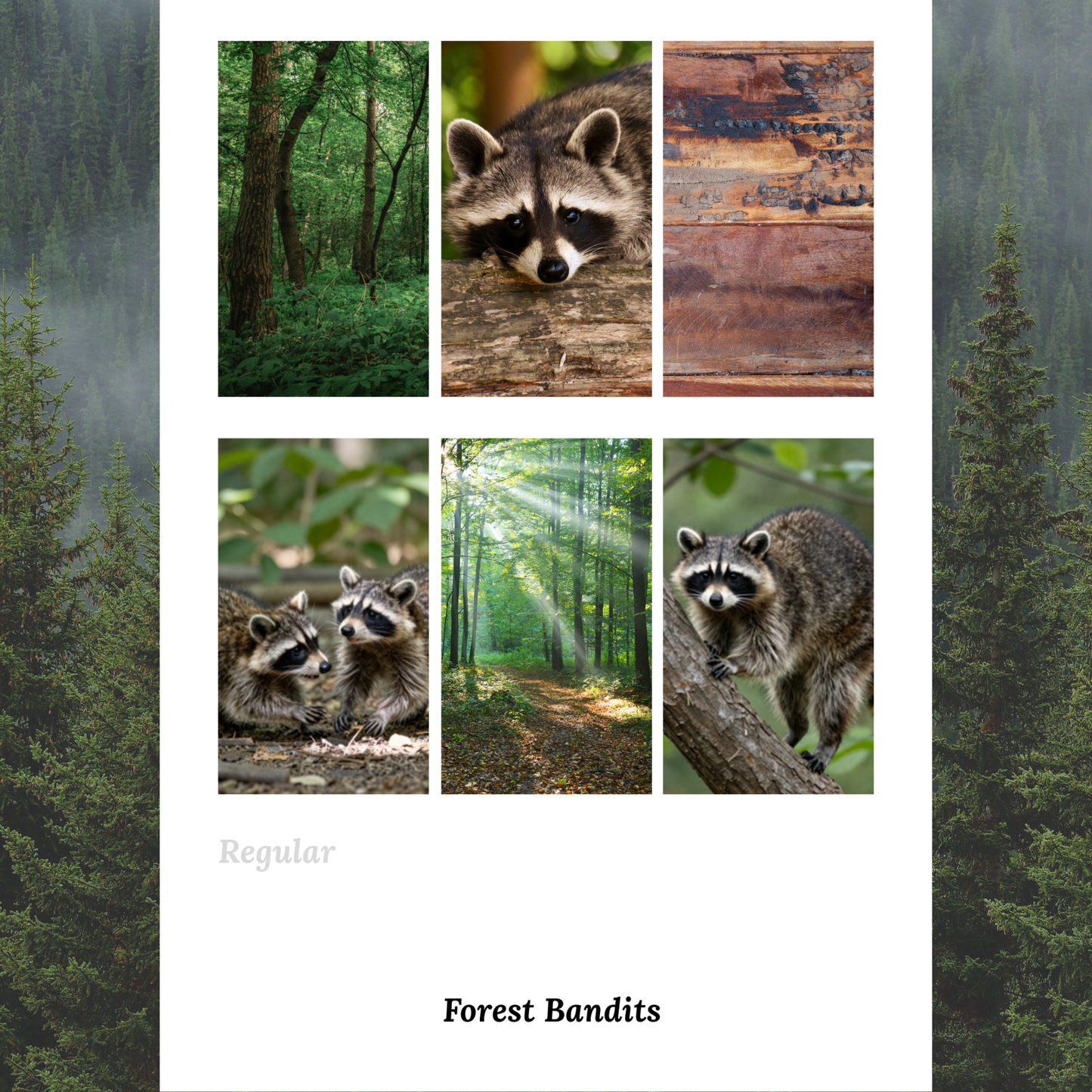 Forest Bandits - Waterslide Decals