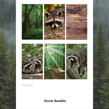 Forest Bandits - Waterslide Decals