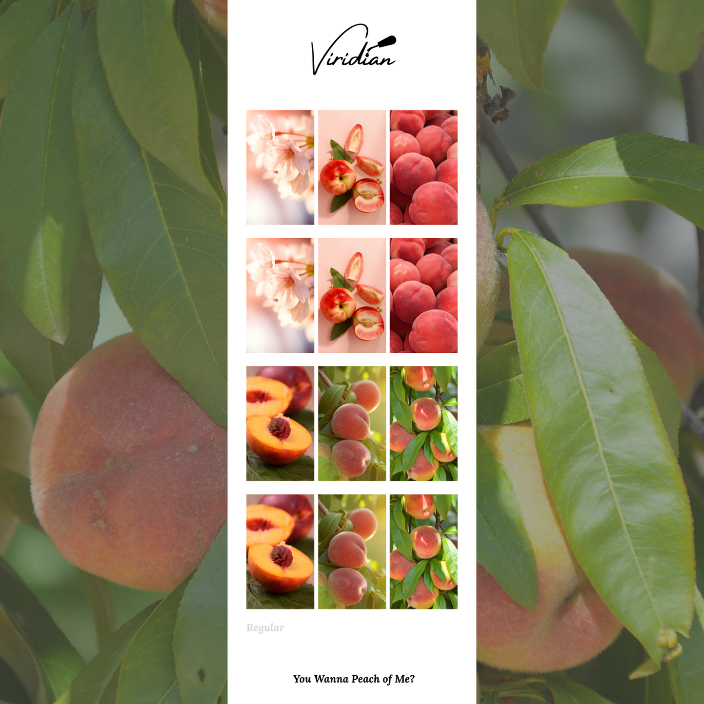 You Wanna Peach of Me? - Waterslide Decals