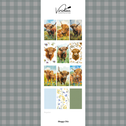 Shaggy Chic - Waterslide Decals