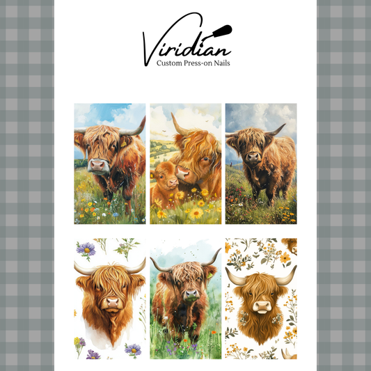 Shaggy Chic - Waterslide Decals