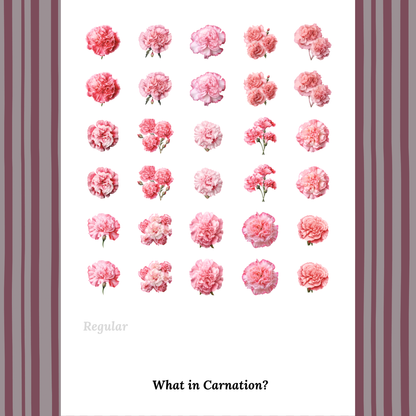 What in Carnation? - Waterslide Decals