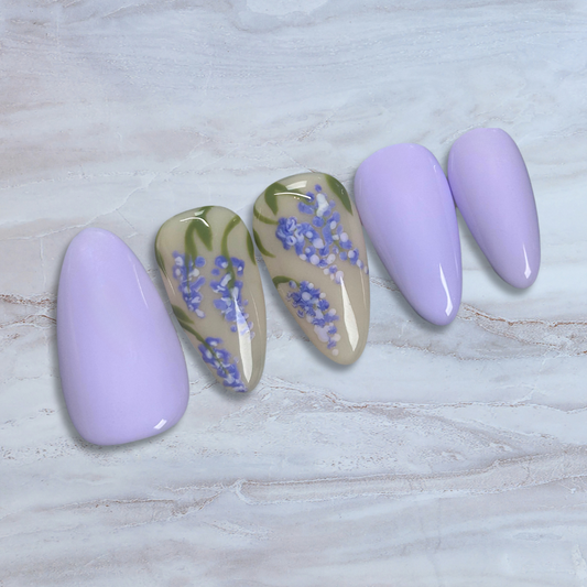 Wisteria